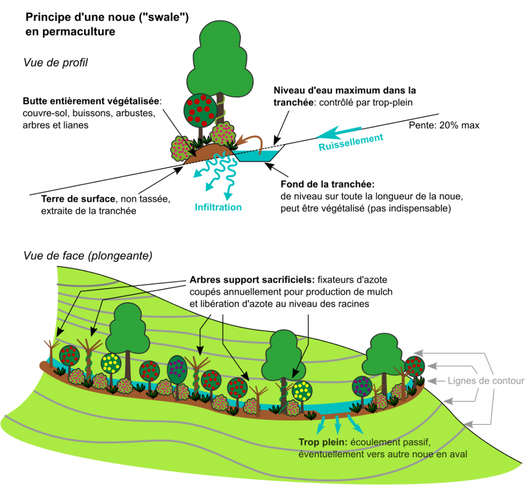 PrincipeDuSwale_151126